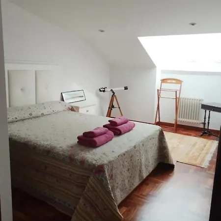 El ático De Frida Vigo